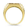 The Tigers Pride Ring 11142 1749 d upright