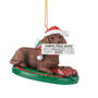 Dog Annual Ornament DachsRed 6428 0779 a main