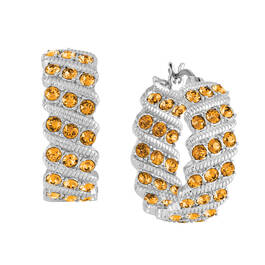 Birthstone Hoop Earrings 6003 0020 k november
