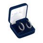 Midnight Whisper Earrings 1019 0015 g gift display