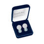 Birthstone Radiance Earrings 5687 0074 m gift box