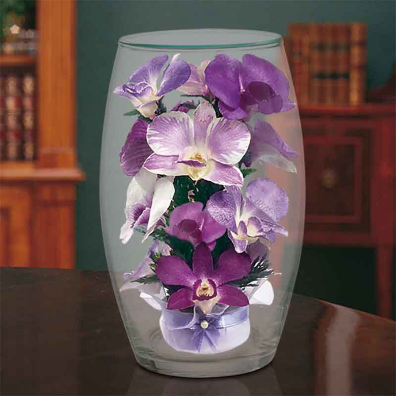 Miracle Orchids 4607 001 7 4