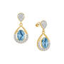 Birthstone Drop Earrings, Birthstone Drop Earrings 6930 0036 l december