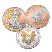 Platinum and Gold Highlighted American Eagles 1462 0066 a main