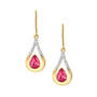 The Birthstone Diamond Drop Earrings 11073 0017 g july