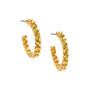 Joyful Hues Hoop Earring Collection 12433 0010 d earring