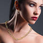 The Dazzling Paperclip Necklace & Earrings, Dazzling Paperclip Necklace Earrings 11844 0015 g model