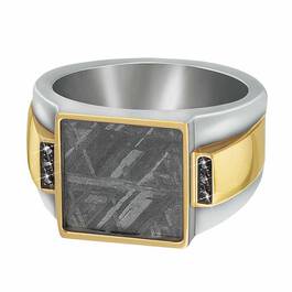 Galactic Voyager Meteorite Ring 1865 001 0 2