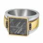 Galactic Voyager Meteorite Ring 1865 001 0 2