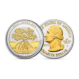 Platinum and Gold Highlighted Land of the Free Quarters 11129 0011 a VI