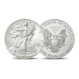 Silver Eagles of the 21st Century 2845 0054 a main