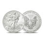 Silver Eagles of the 21st Century 2845 0054 a main