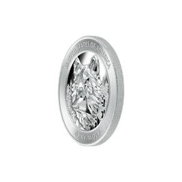 The American Wildlife Ultra High Relief Silver Bullion Commemoratives 10919 0017 b commemorativeangle