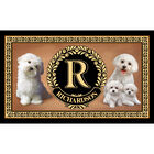 The Dog Accent Rug 6859 0033 a Maltese
