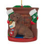 2021 Dog DachsRed Ornament 6428 0456 a main