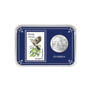 America the Beautiful State Coin and Stamp Collection 11503 0025 a showpackFL