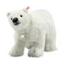 Star The Steiff Polar Bear 6992 0015 a main
