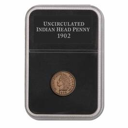 Uncirculated Indian Head Pennies 4514 001 9 3