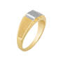 Diamond Landmark 10kt Gold Ring 11791 0026 b side