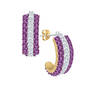 Birthstone Beauty Earrings, Birthstone Beauty Earrings 6911 0039 b february