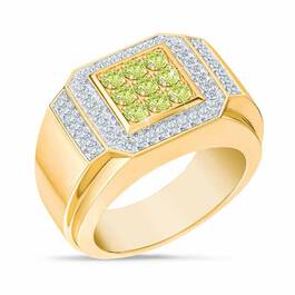 Birthstone Distinction Mens Ring 4993 001 9 8