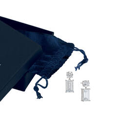 The 37 Carat Platinum Dazzle Earrings 12091 0039 g giftbox