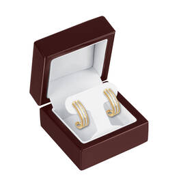 Enchanted Diamond Earrings 6454 0016 g display box