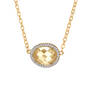 The Birthstone Statement Necklace 11614 0013 l november