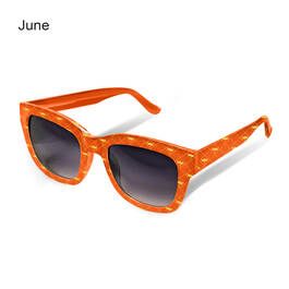 Eye Candy Seasonal Sunglasses 6797 0012 f june