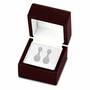 Diamond Delight Earrings 6311 001 9 2