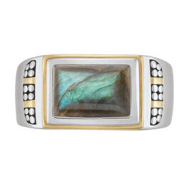 Mens Labradorite Ring 10395 0010 b ring02