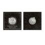 Silver Coins of the 20th Century 9855 003 1 2