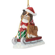 Dog Annual Ornament Sheltie 6428 0662 a main