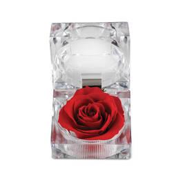 Diamond Rose Pendant with Free Miracle Rose 10273 0041 a main