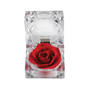 Diamond Rose Pendant with Free Miracle Rose 10273 0041 a main