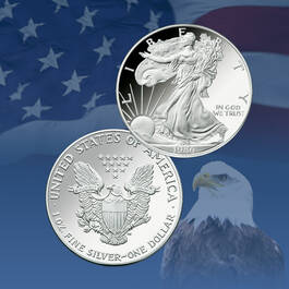 Ultimate American Silver Eagle Collection 4803 0050 c coin