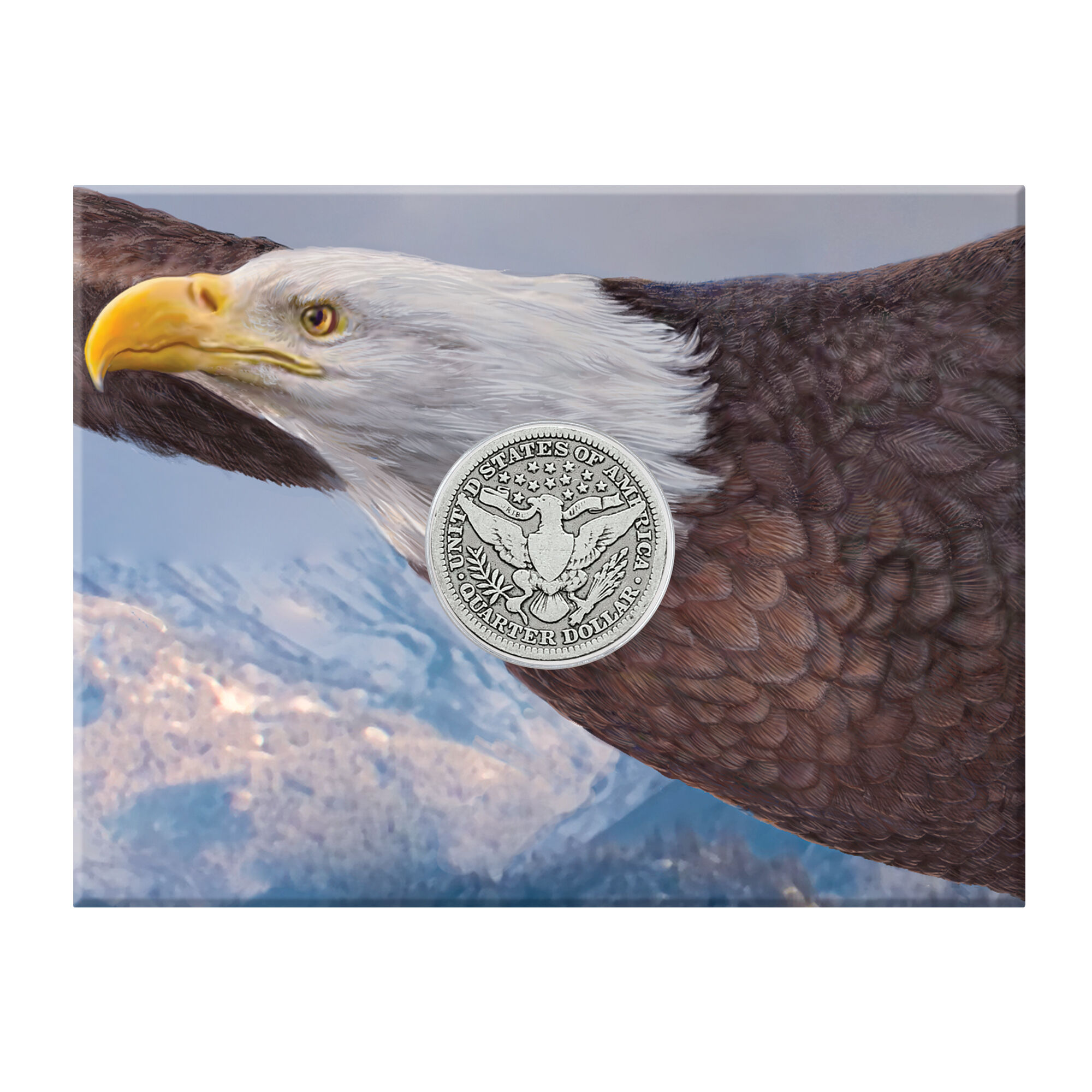 Eagle Silver Coin Collection 10035 0016 c front