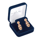 Healing Blooms Copper Earrings 6368 0029 g display box