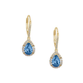 Birthstone Elegance Earrings 11762 0047 l december