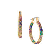 The Rainbow Hoop Earrings 12117 0013 a main