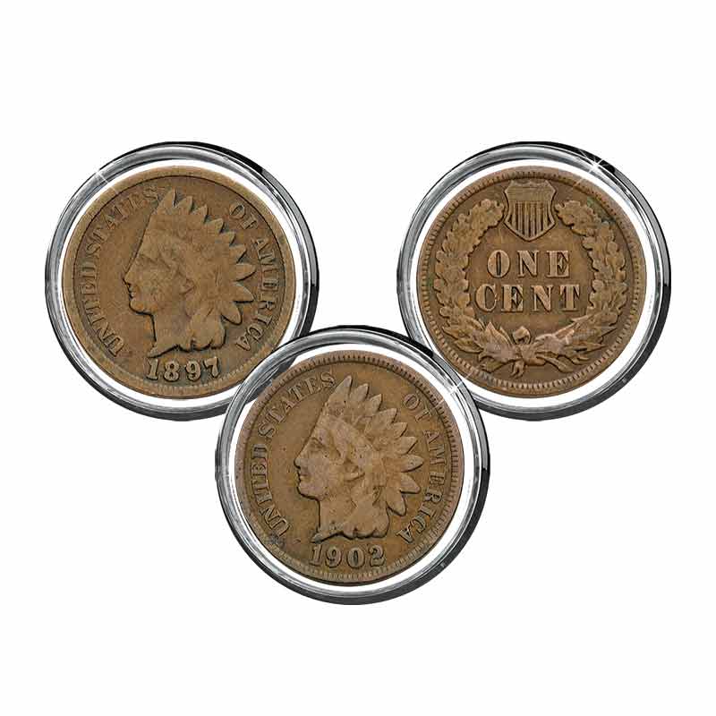 Indian Head Pennies Collection 2916 002 5 1