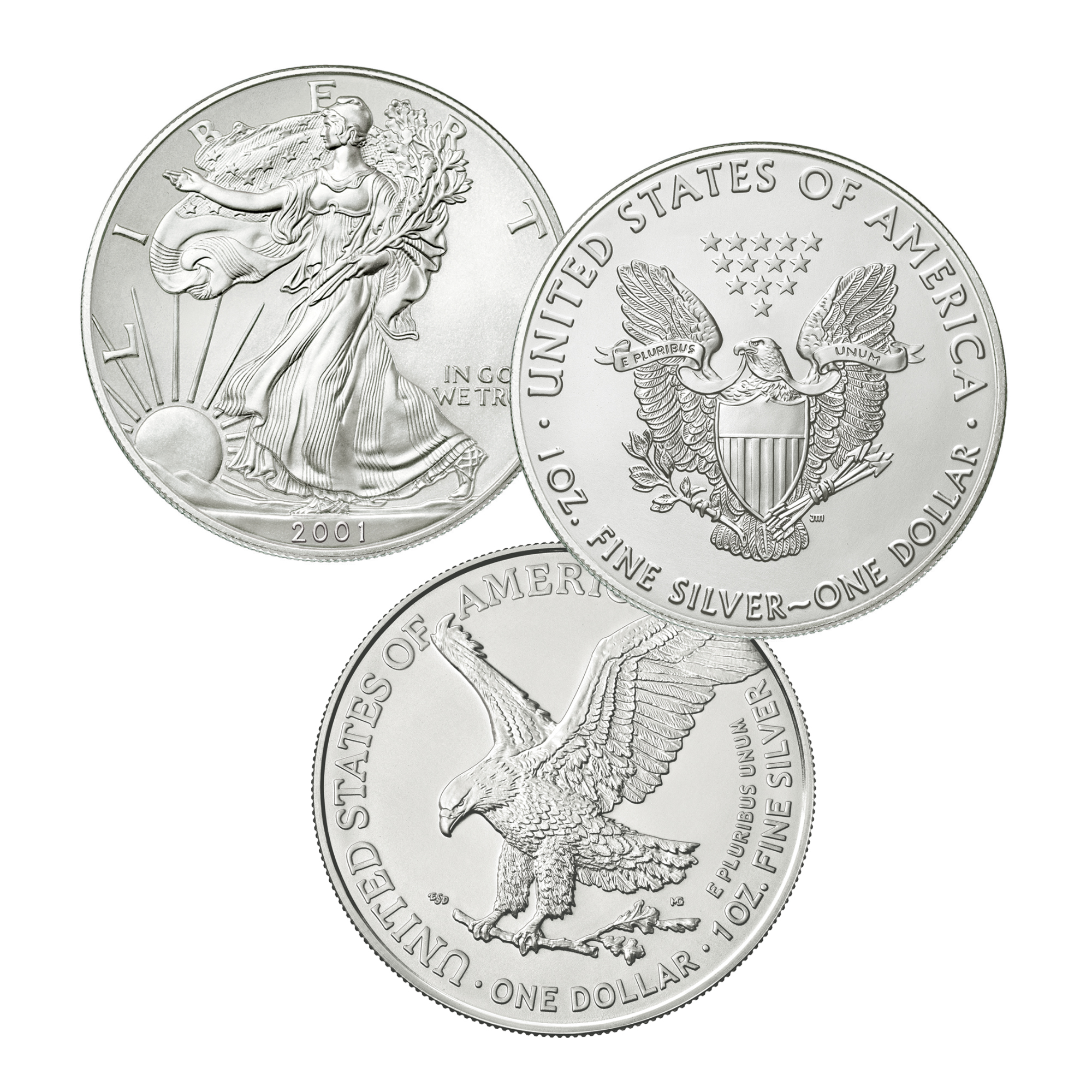 Silver Eagles of the 21st Century 2845 0054 a main