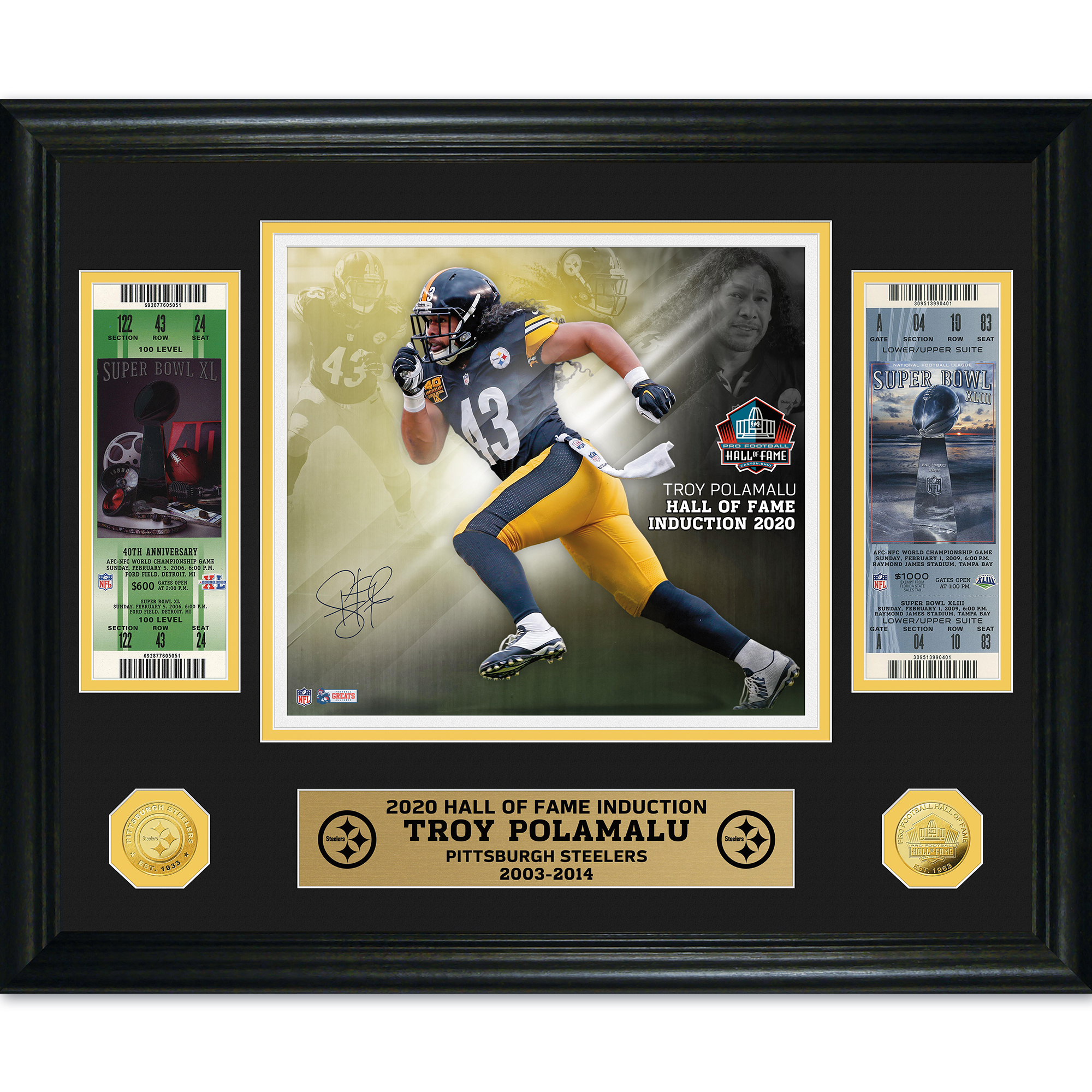 troy polamalu hall of fame jersey